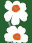 8422_01_Marimekko_Unikko_60th_Anniversary_25990-138620