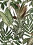 2919_1_rebel_walls_mischiveous_monkeys_r14591-27447