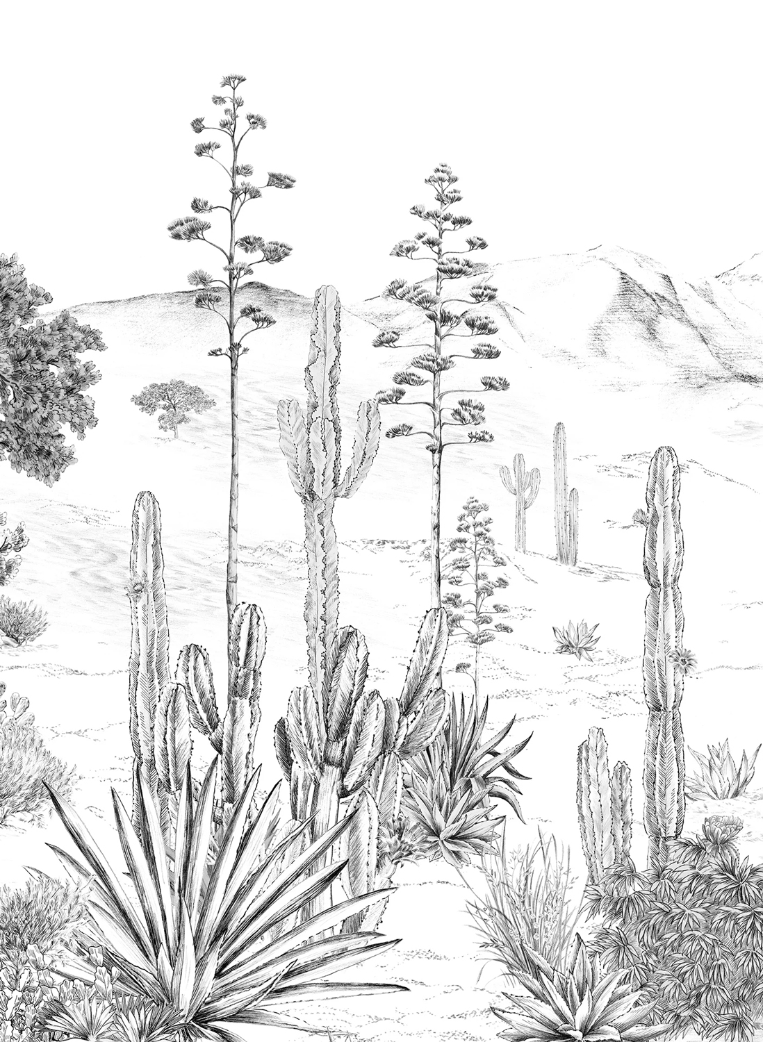 Wandbild Succulentes Grisaille - Panel B
