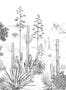 6839_2_Isidore_Leroy_Succulentes_Grisaille_6247603-89550