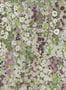 7445_08_House_of_Hackney_Hollyhocks_1-WA-HOL-DI-MEA-XXX-004-159982
