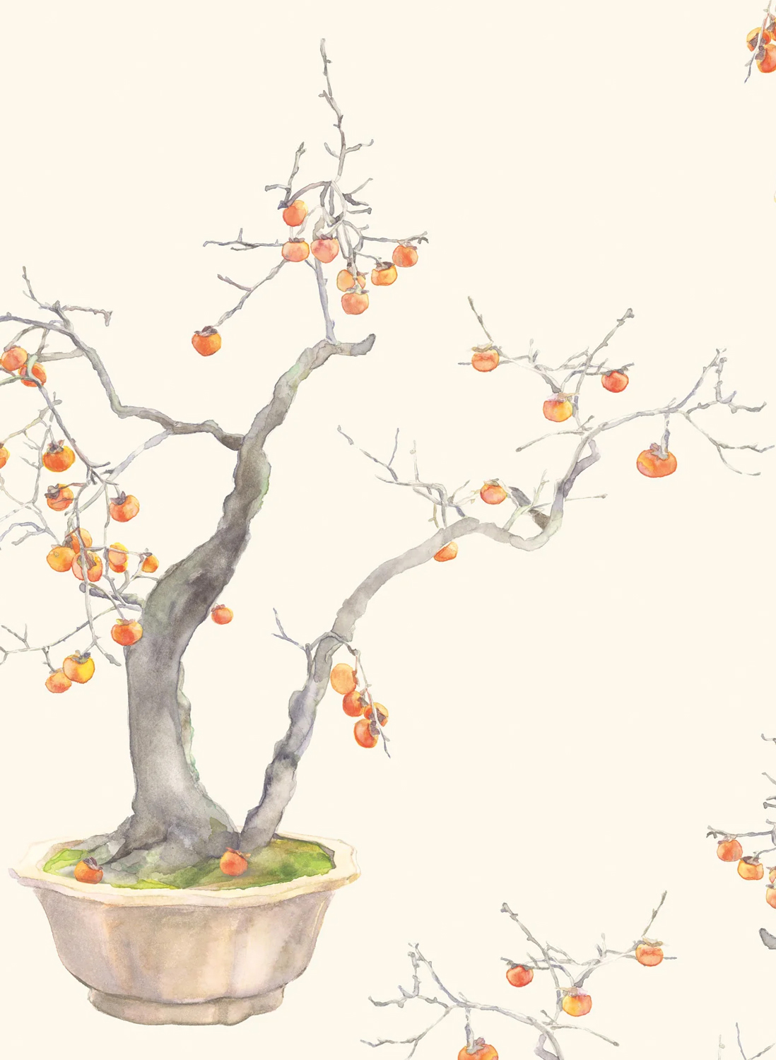 Tapete Kaki Persimmon - Ivory/ Bergamot