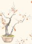 14914_01_Cole_and_Son_Kaki_Persimmon_126_2003-139110