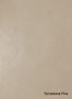 Terrastone-Fine-69-Beige-colour-sample-named-190685