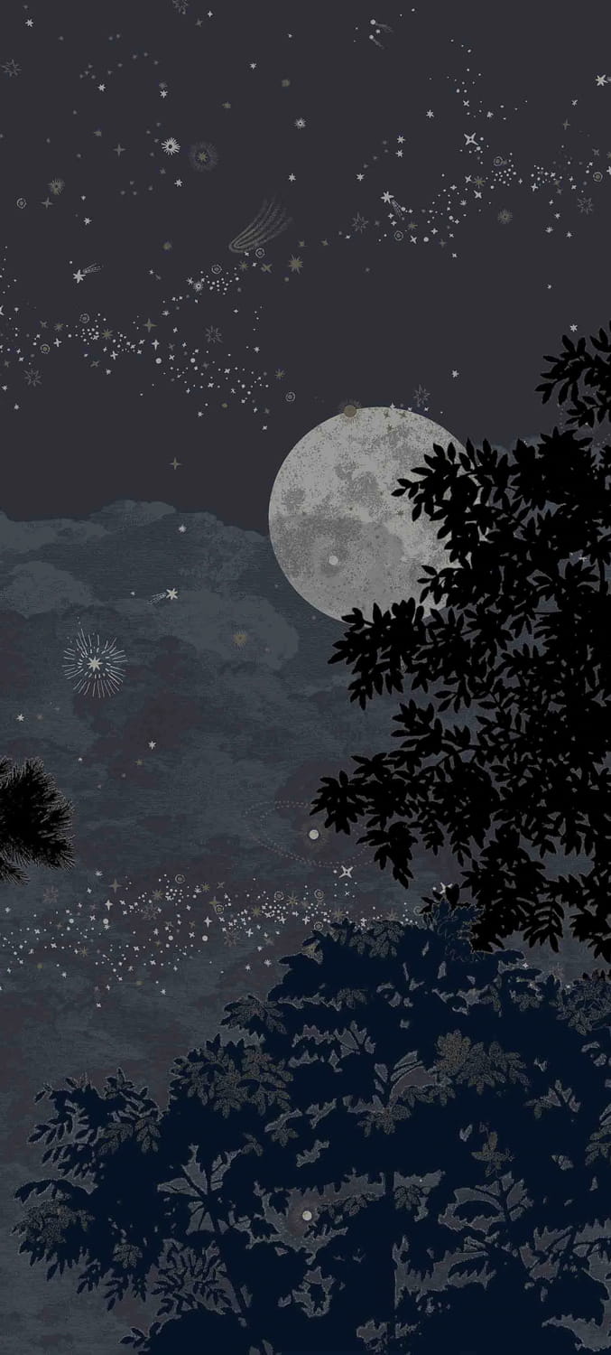Wandbild Eclipse Nocturne - Panel B