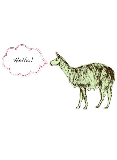 Magnet Llama
