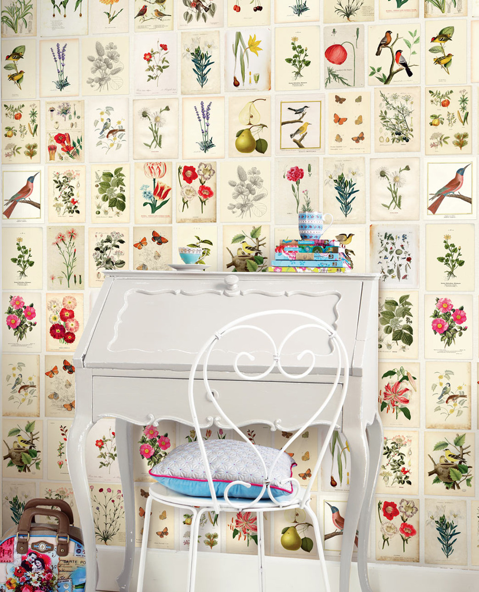 Tapete Botanical Paper - Multicolor