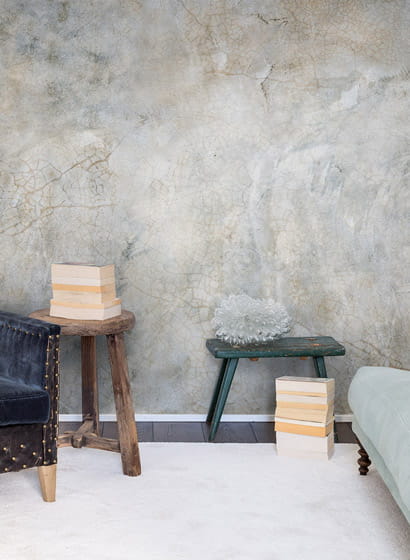 Wandbild Fossil Stone