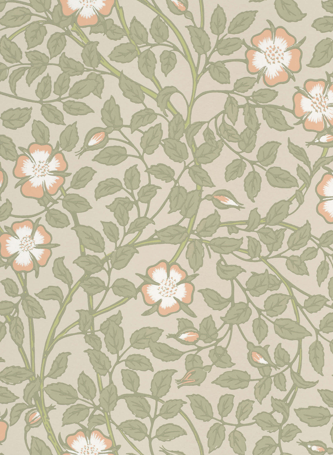 Tapete Briar Rose - Green Mist