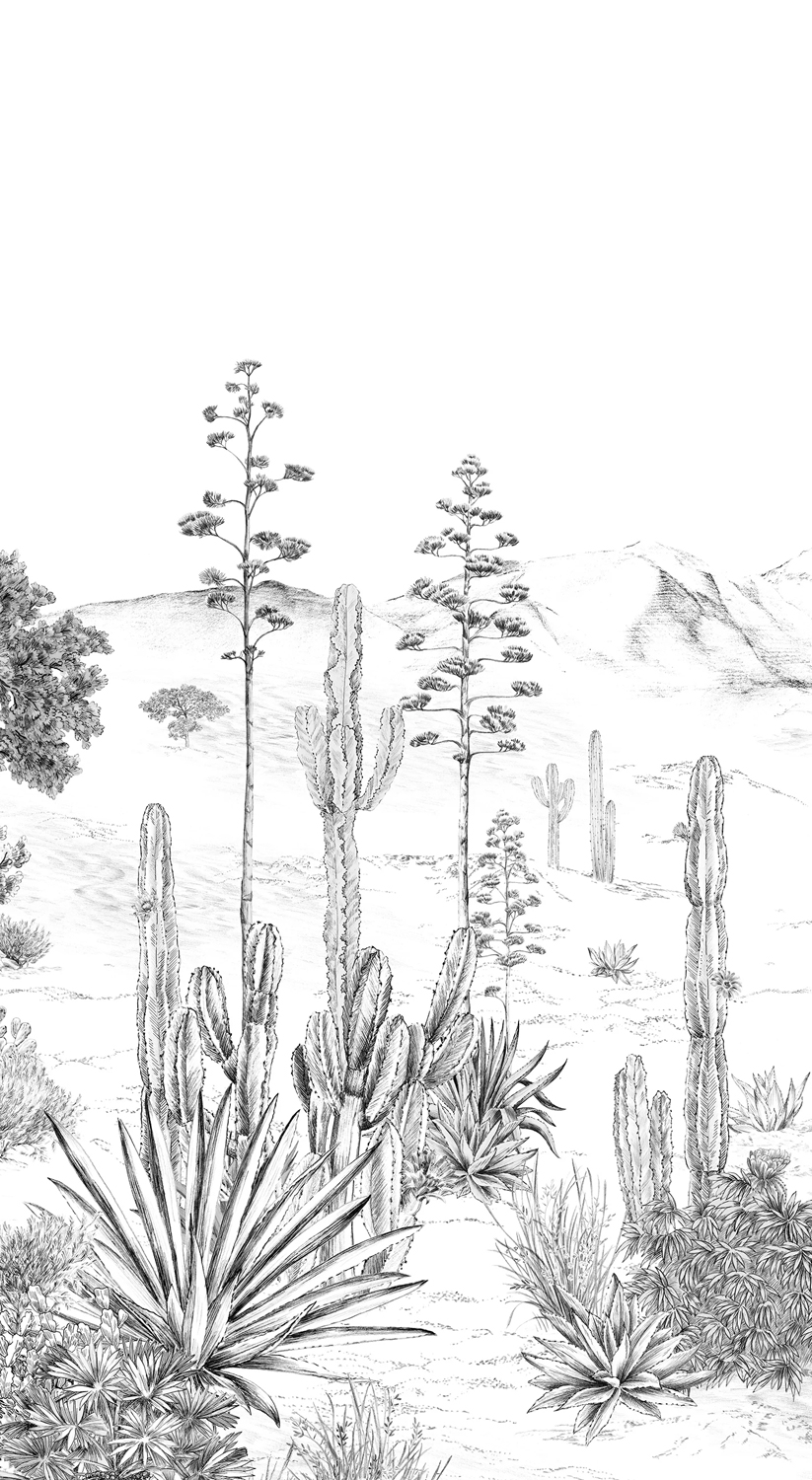 Wandbild Succulentes Grisaille - Panel B