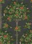 5699_3_cole-and-son_orange-blossom_117-1003-59181