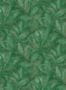 17726_03_Omexco_Hierbas_oas203-161900
