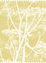 50376_03_Cole_and_Son_Cow_Parsley_Fabric_F111_5020-188546