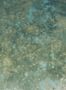 14847_24_Jannelli_and_Volpi_Orthez_40116-132100