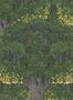 5536_3_mindthegap_savage-leaves_wp20466-59078