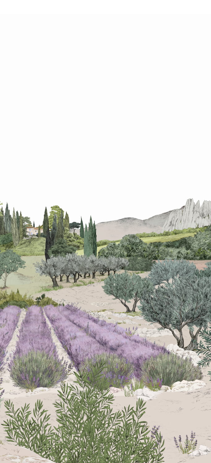 Wandbild Provence - Été Panel B