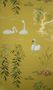1558_4_osborne_and_little_swan_lake_ncw4020-05-22404