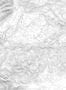 2415_1_rebel_walls_passion_elevation_lines_r14071-25285