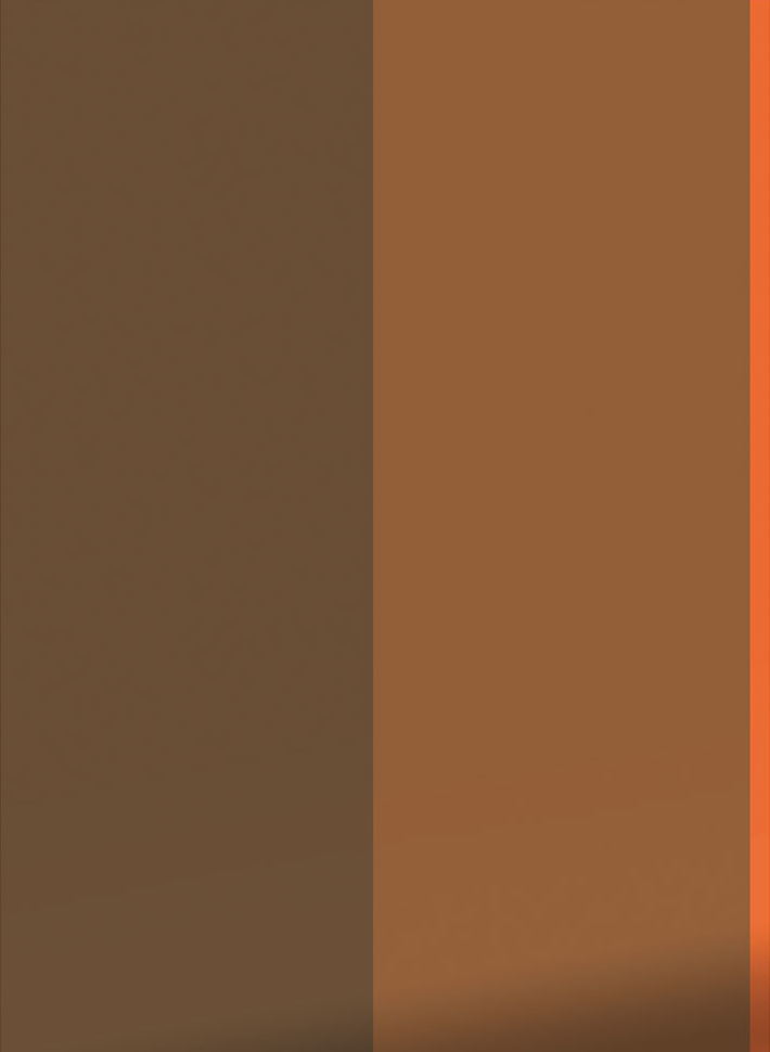 Tapete Bold Stripes 1 Uyterlinde - FU-003