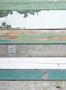 5884_1_Studio_Ditte_Tapete_Scrapwood_Green-69726