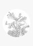 6108_2_KEK_Amsterdam_Engraved_Flowers_5_Circle_M_CK-060-74169