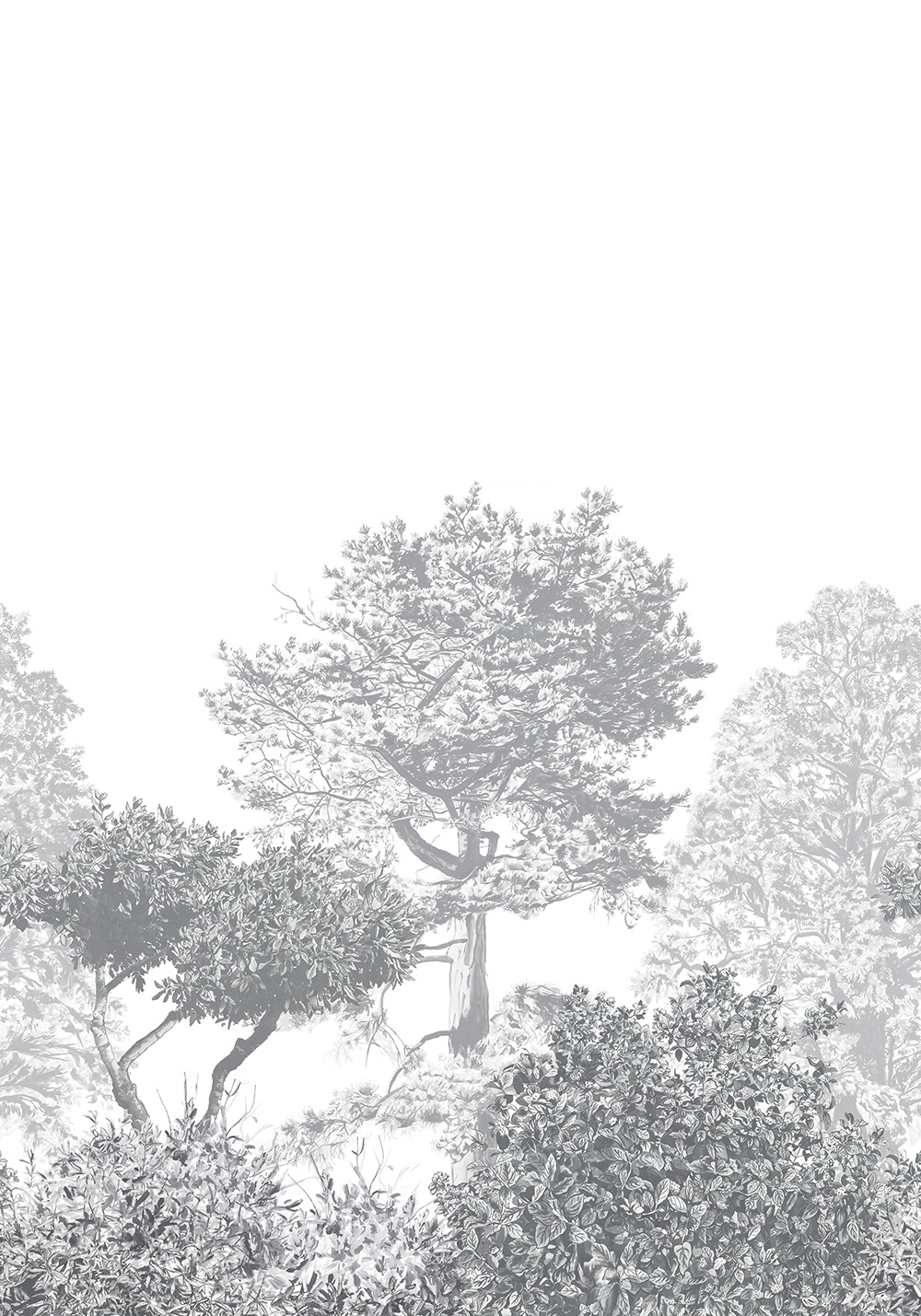 Wandbild Hua Trees - Grey