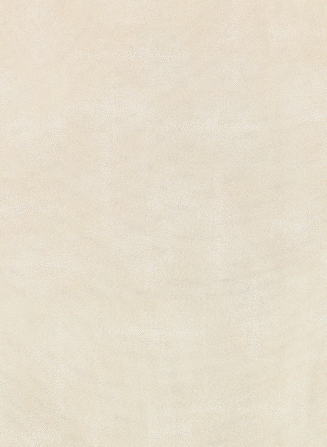 Tapete Zingrina - Pale Linen