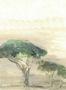 9312_2_Coordonne_Serengueti_Menta_YSP0271-88609