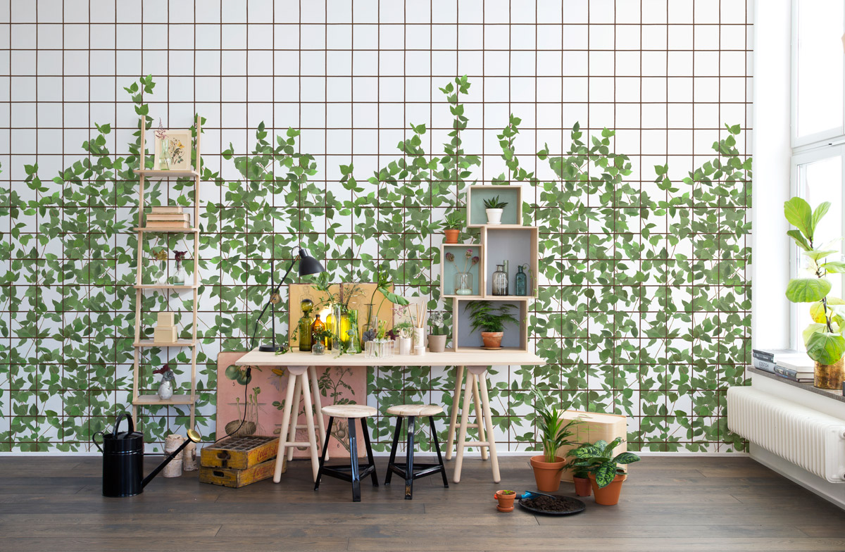 Wandbild Climbing Clorofyl - Verdant