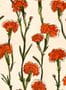 16561_01_Tres_Tintas_Clavelitos_SO5203-1-178713