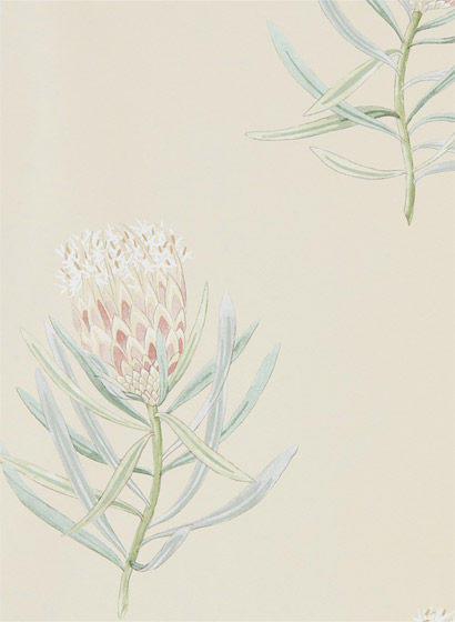 Tapete Protea Flower - Russet/ Green