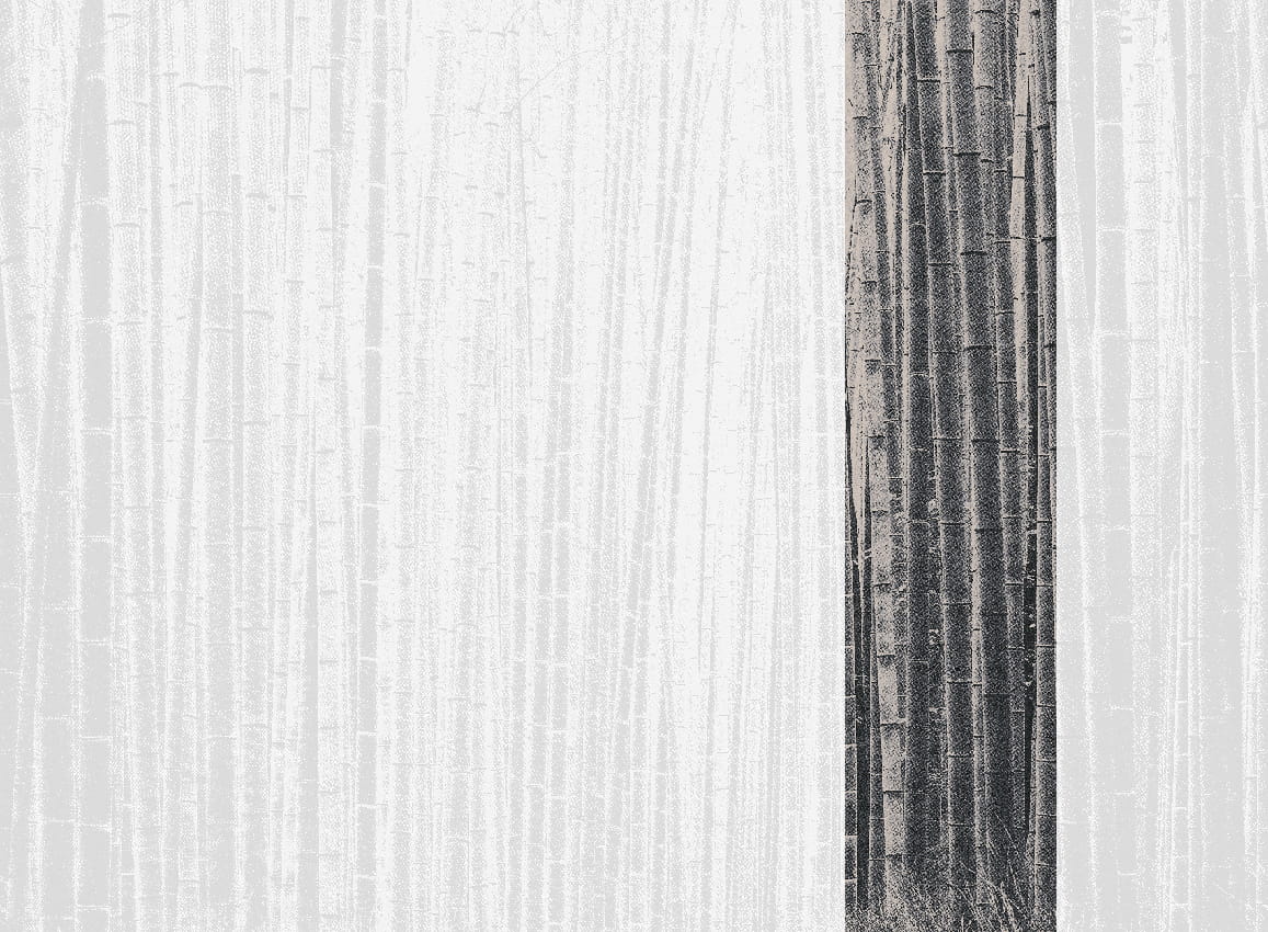 Wandbild Arashiyama - Black Panel 5