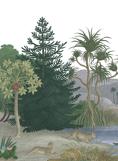 Wandbild Jungle Land - Color A