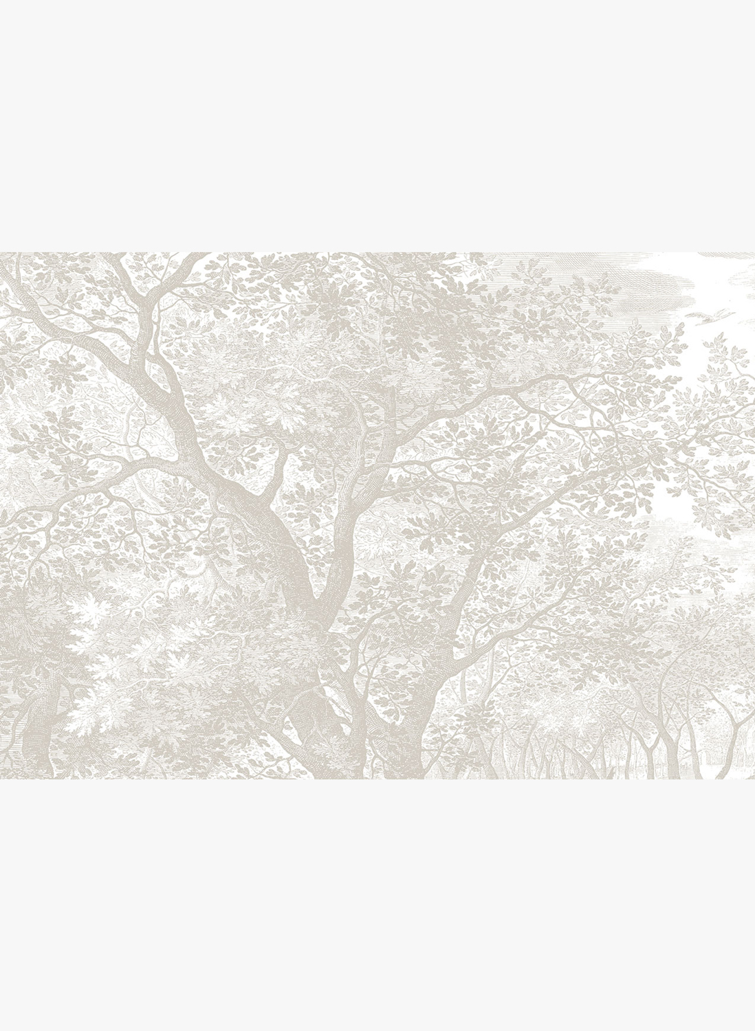 Wandbild Engraved Landscapes Grey 1 - XL - 4m