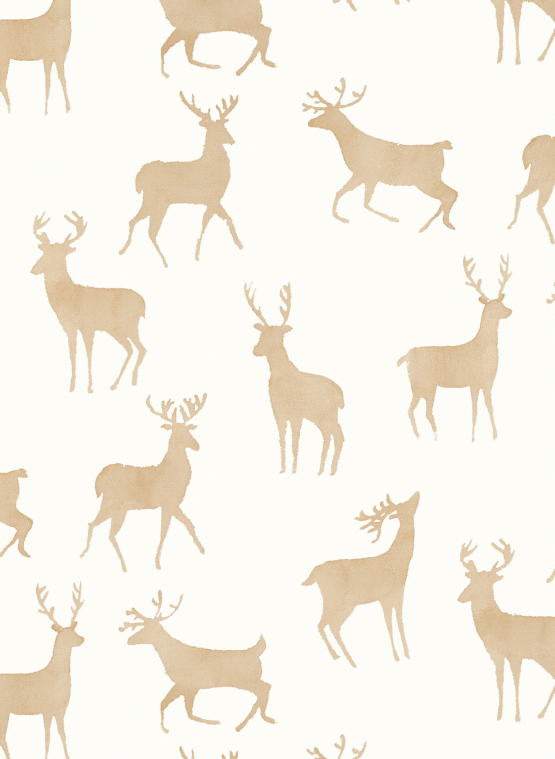 Tapete Bucks - Birch