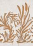 18523_01_Elitis_Algues_dorees_VP_1005_01-157056