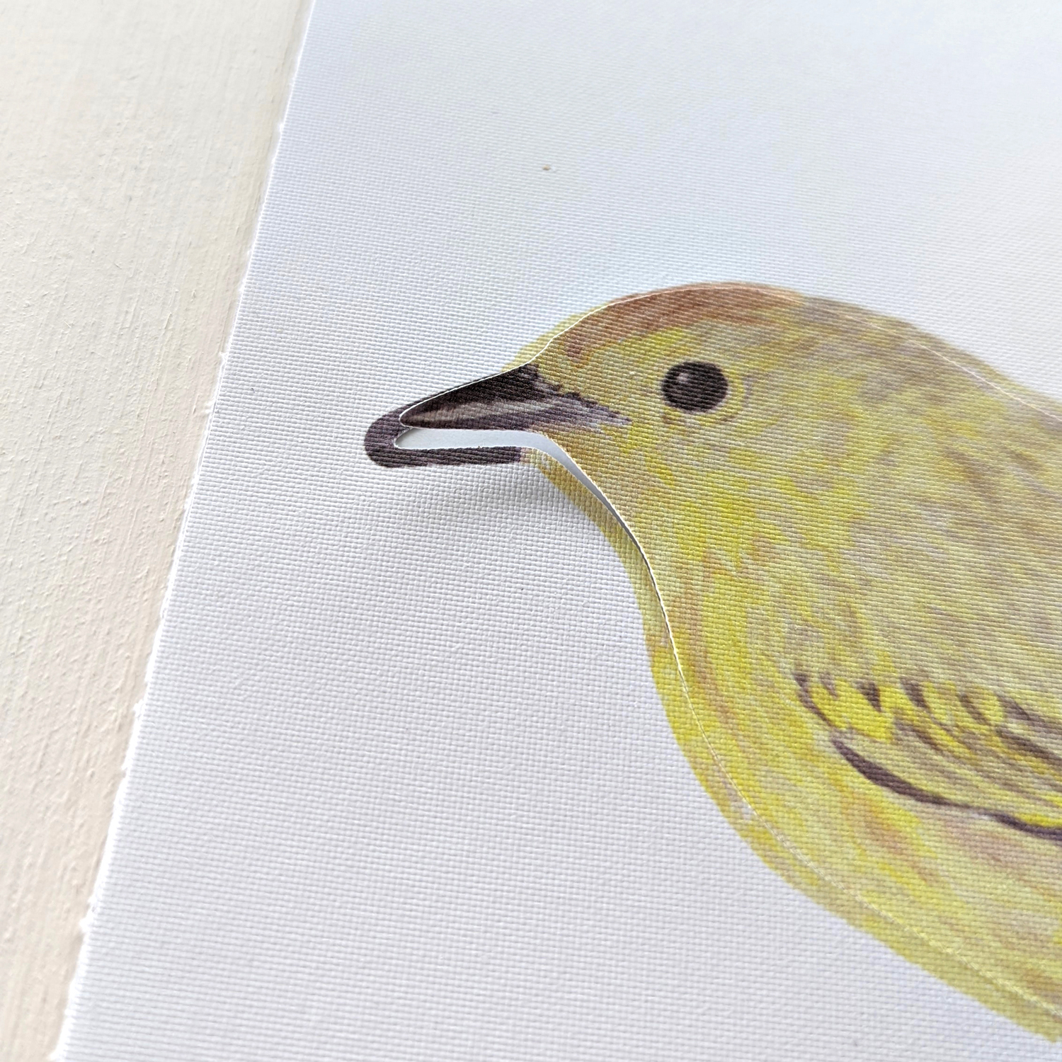 Wandsticker Warbler Bird - Yellow