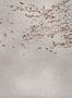8561_2_Coordonne_Wandbild_Eolia_9600041-70224