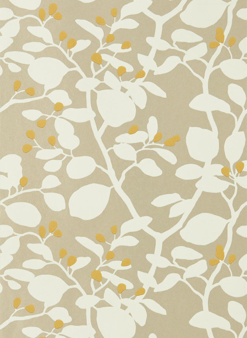 Tapete Ardisia - Soft Focus/ Oyster/ Gold