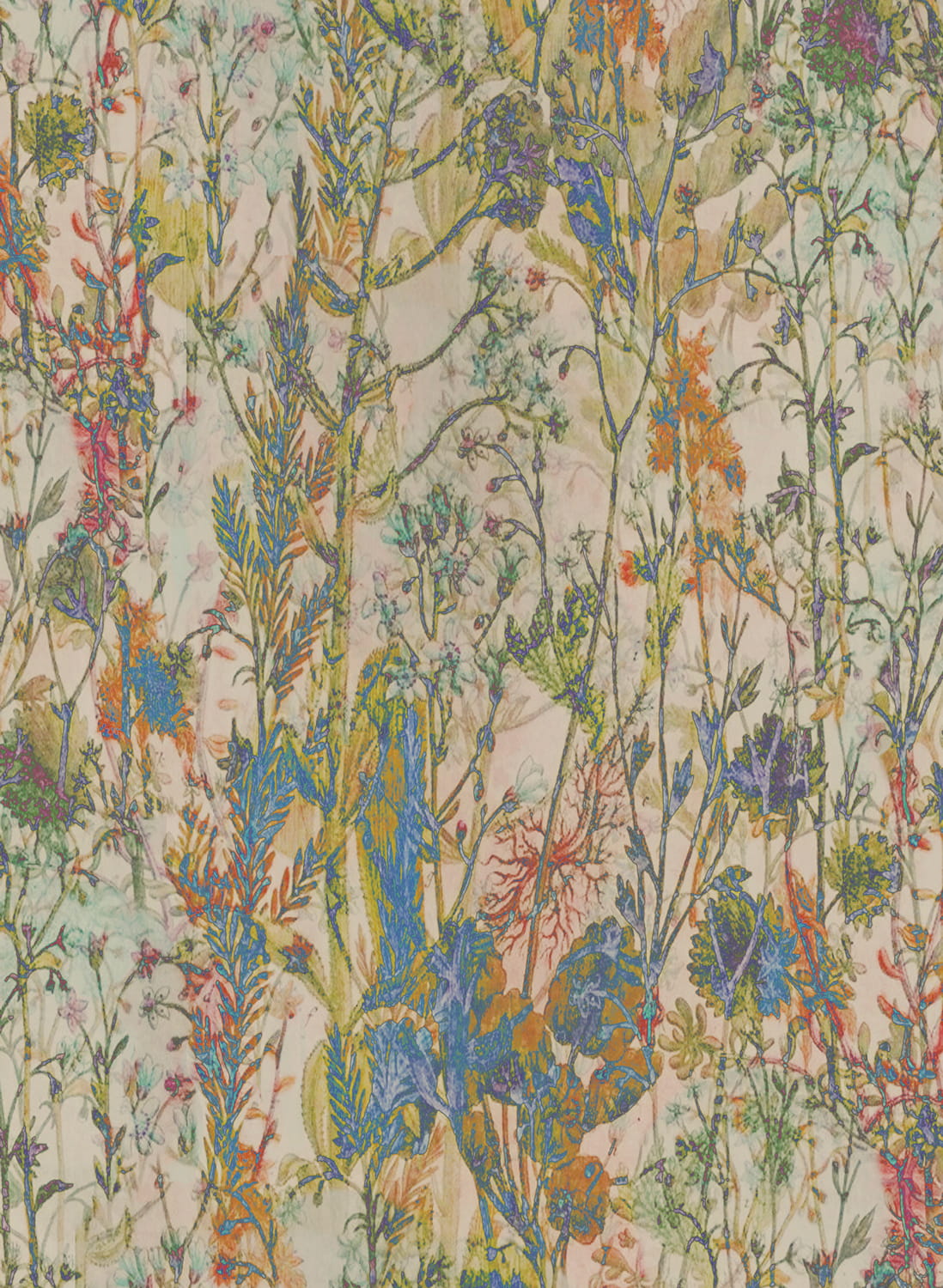 Tapete Wildflower - 29541