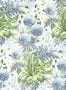 19106_01_Anna_French_Dahlia_AT24535-187382