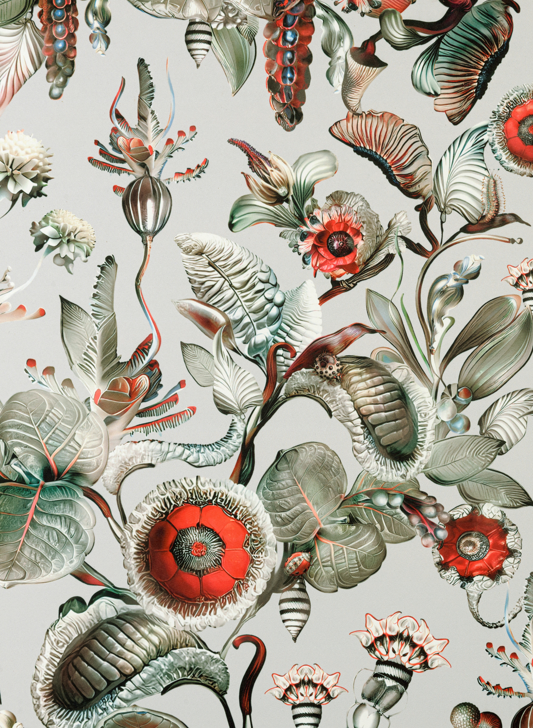 Tapete Coccinella Bella - Stone Grey