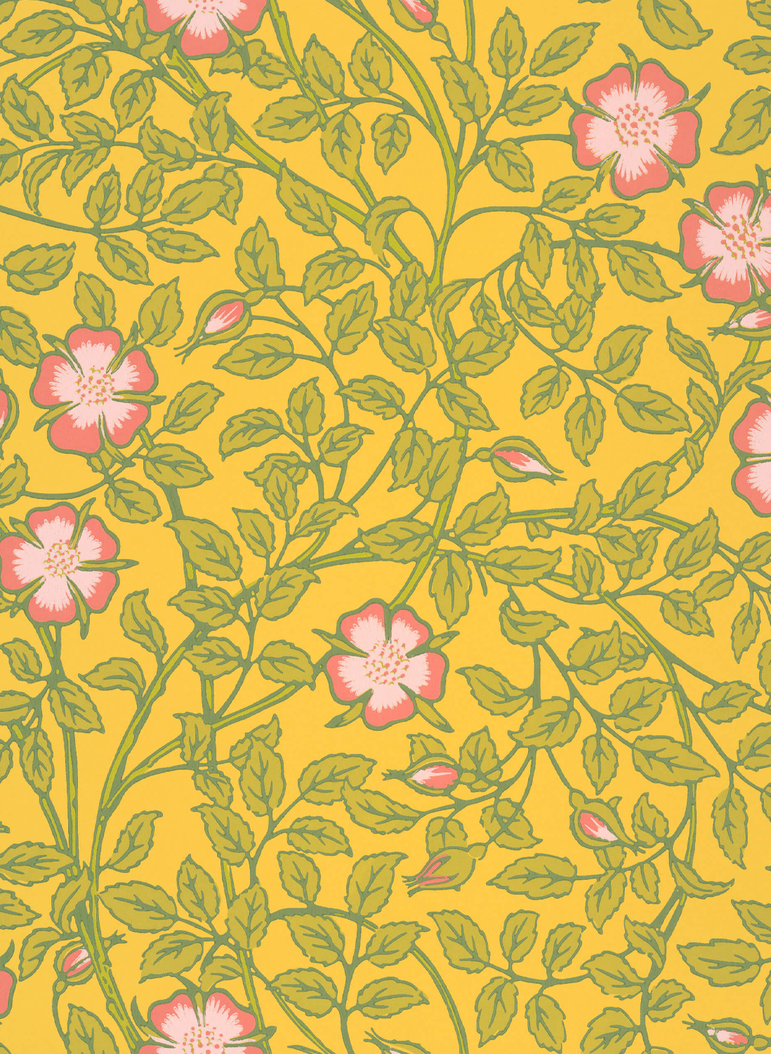 Tapete Briar Rose - Indian Yellow