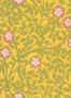 7704_3_Little-Greene_Briar-Rose_0263BRINDIA-100121