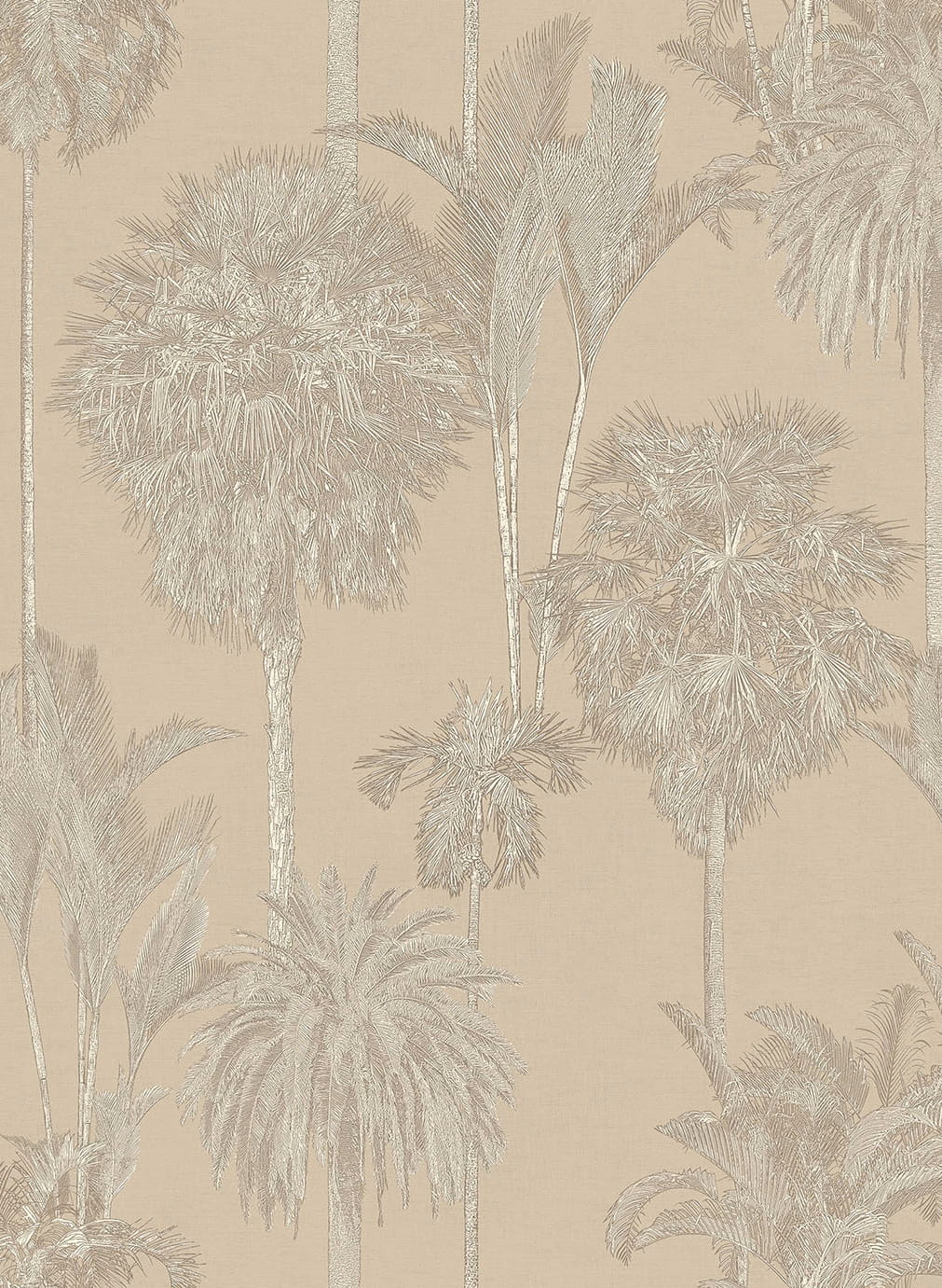 Wallpaper Oasis 3 - 317325