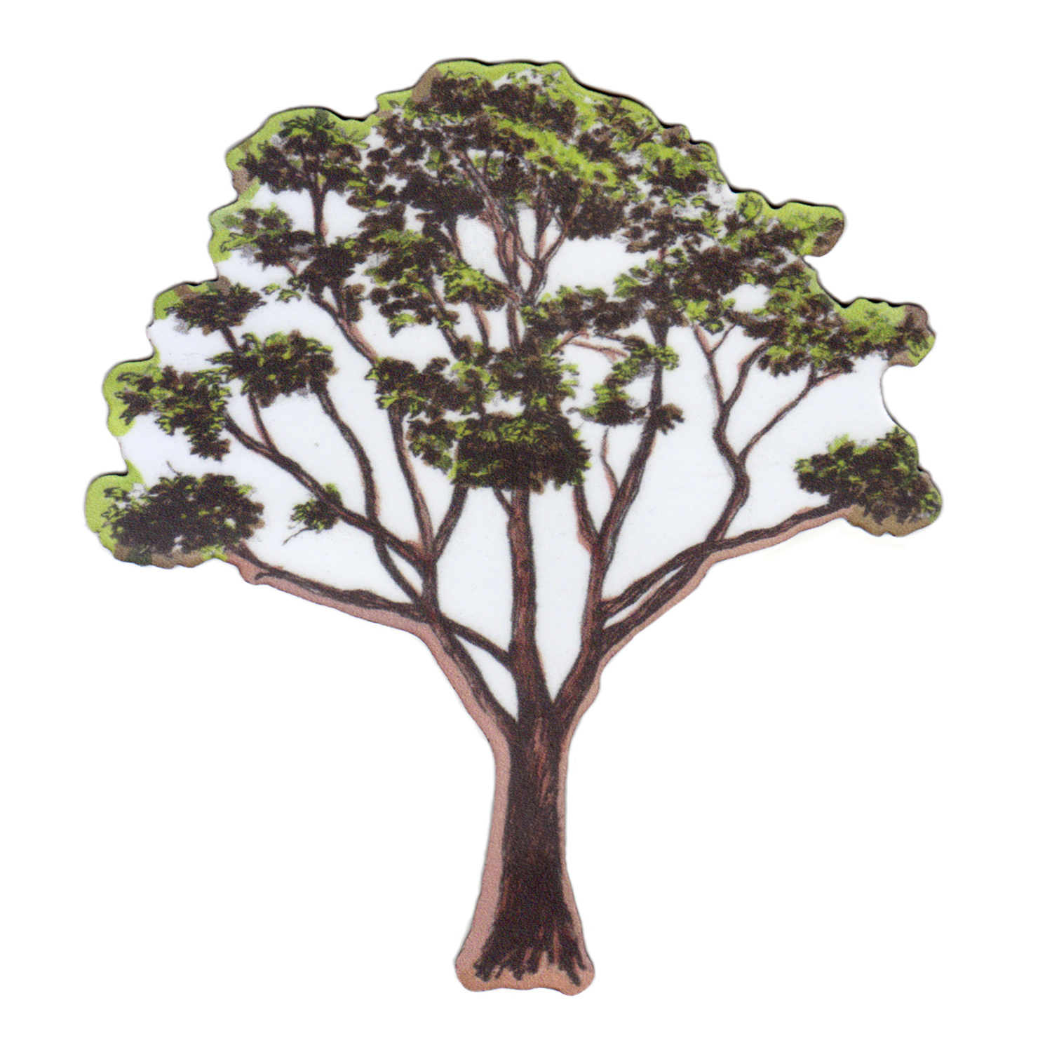 Magnet Tree