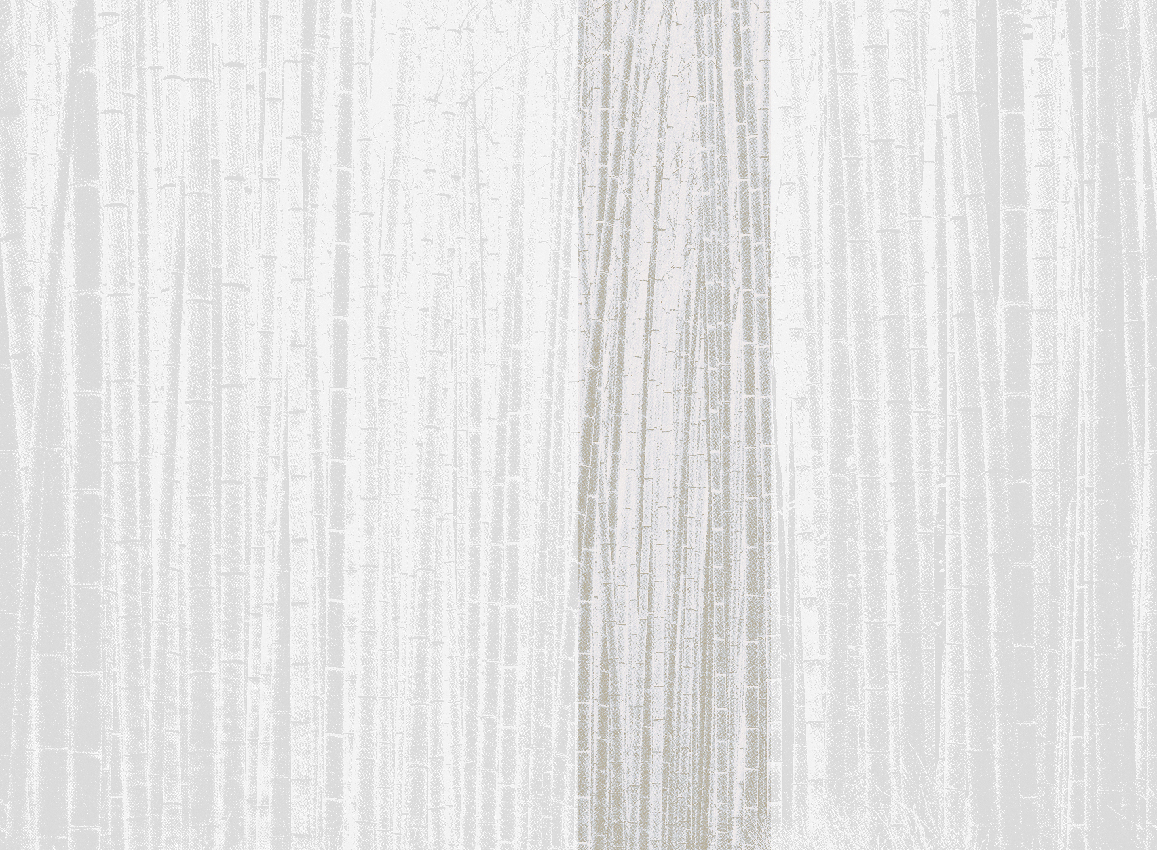 Wandbild Arashiyama - Neutral Panel 4