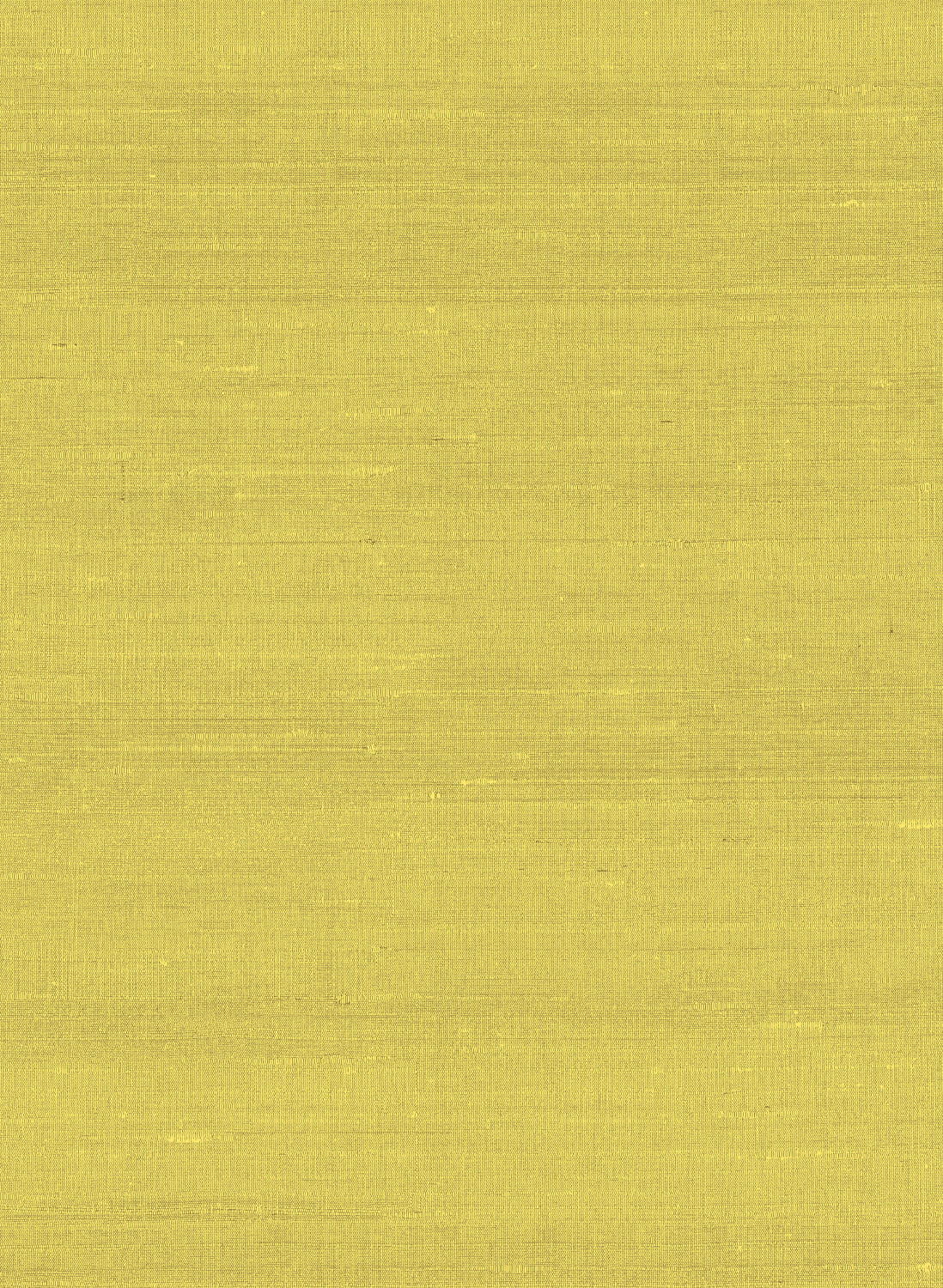Tapete Latus - 50507