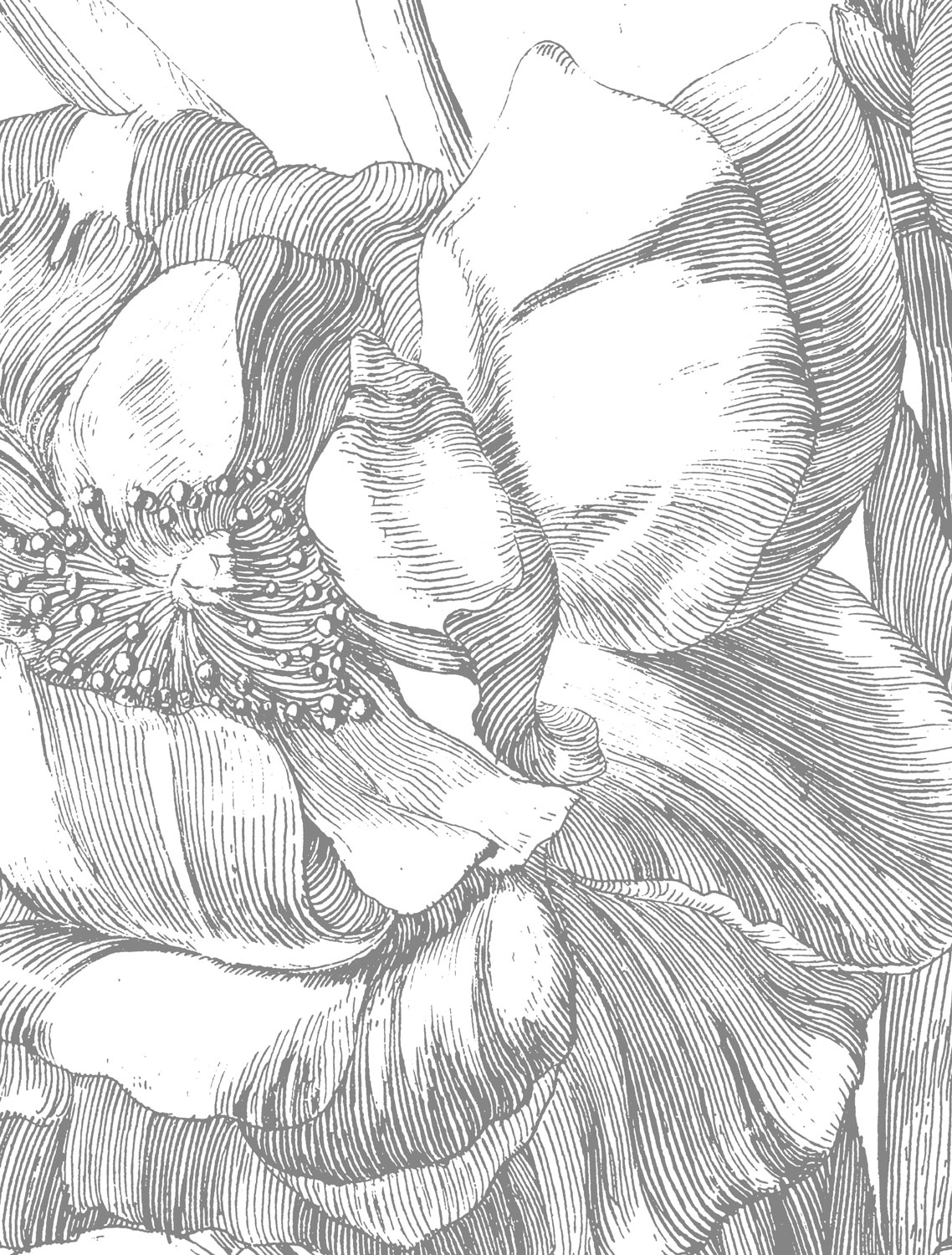 Wandbild Engraved Flowers 4 - S