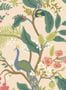 19074_02_Rifle_Paper_Co_Peacock_RI5169-184590